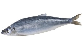 Сельдь крупная неразделанная