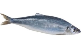 Сельдь олюторская крупная неразделанная