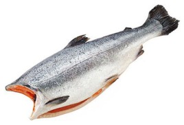 Кижуч, вылов 2025 г.